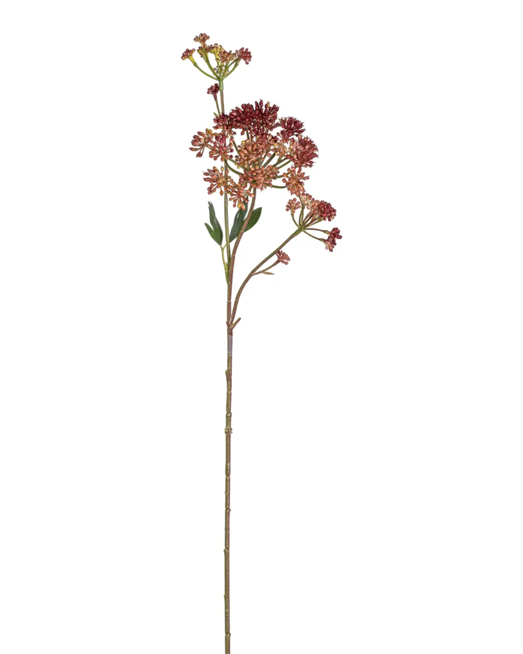 angelica_flower_24in