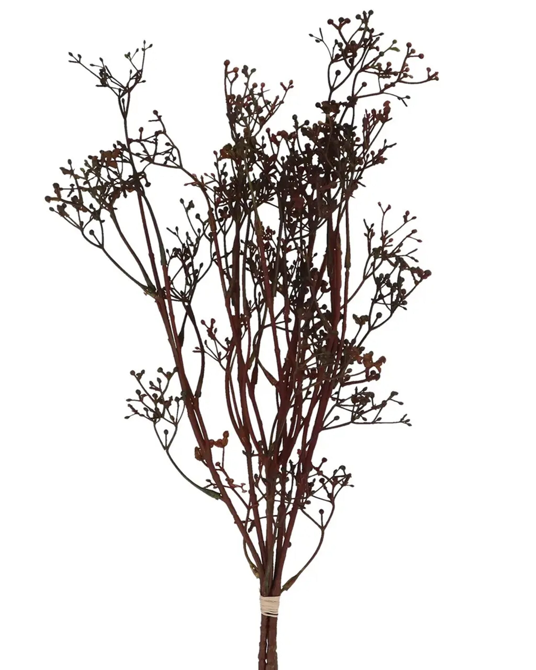 antique_berry_bunch