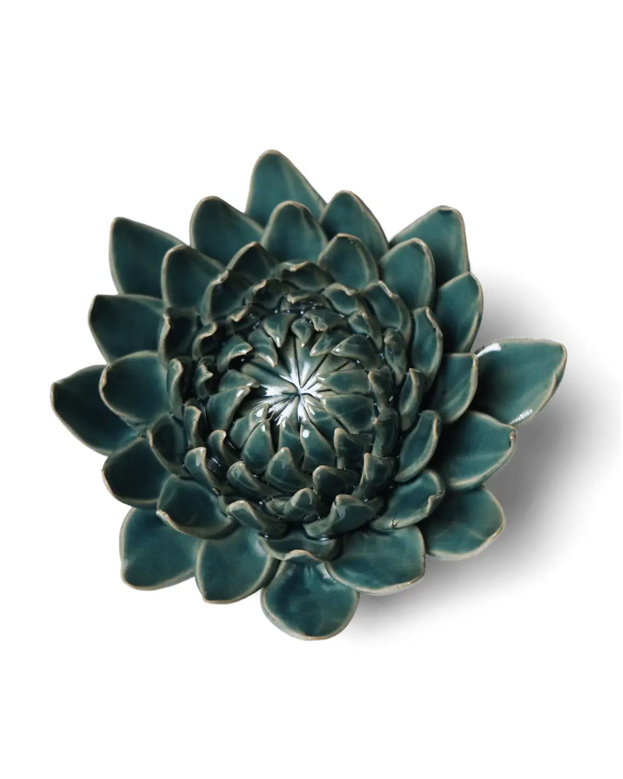 dahlia-teal