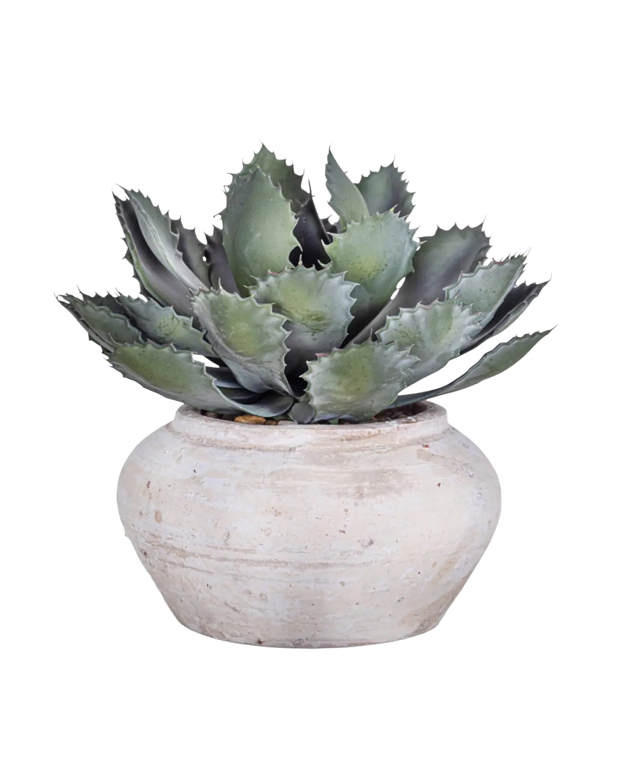 esther_pot