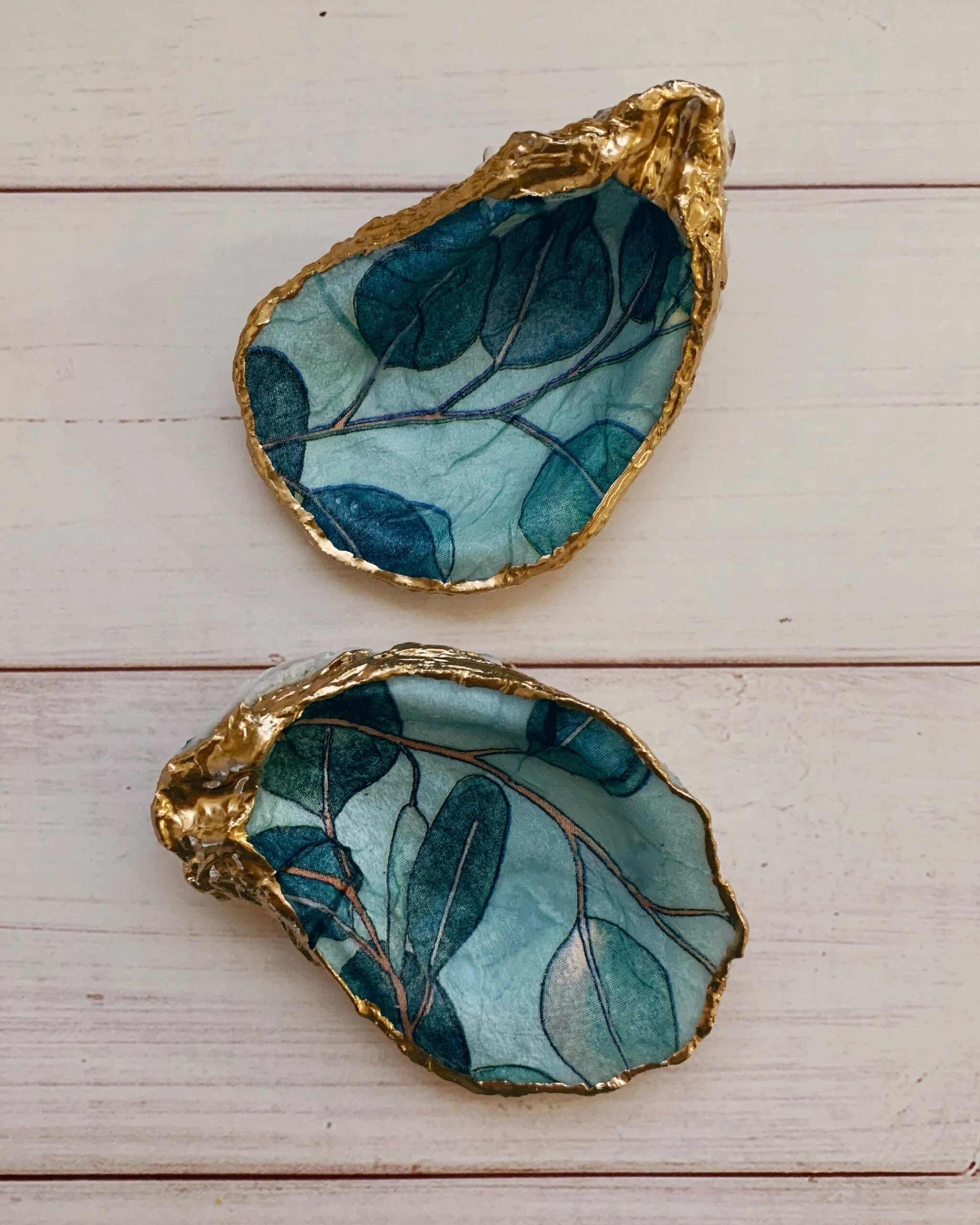 eucalyptus-painted-shells