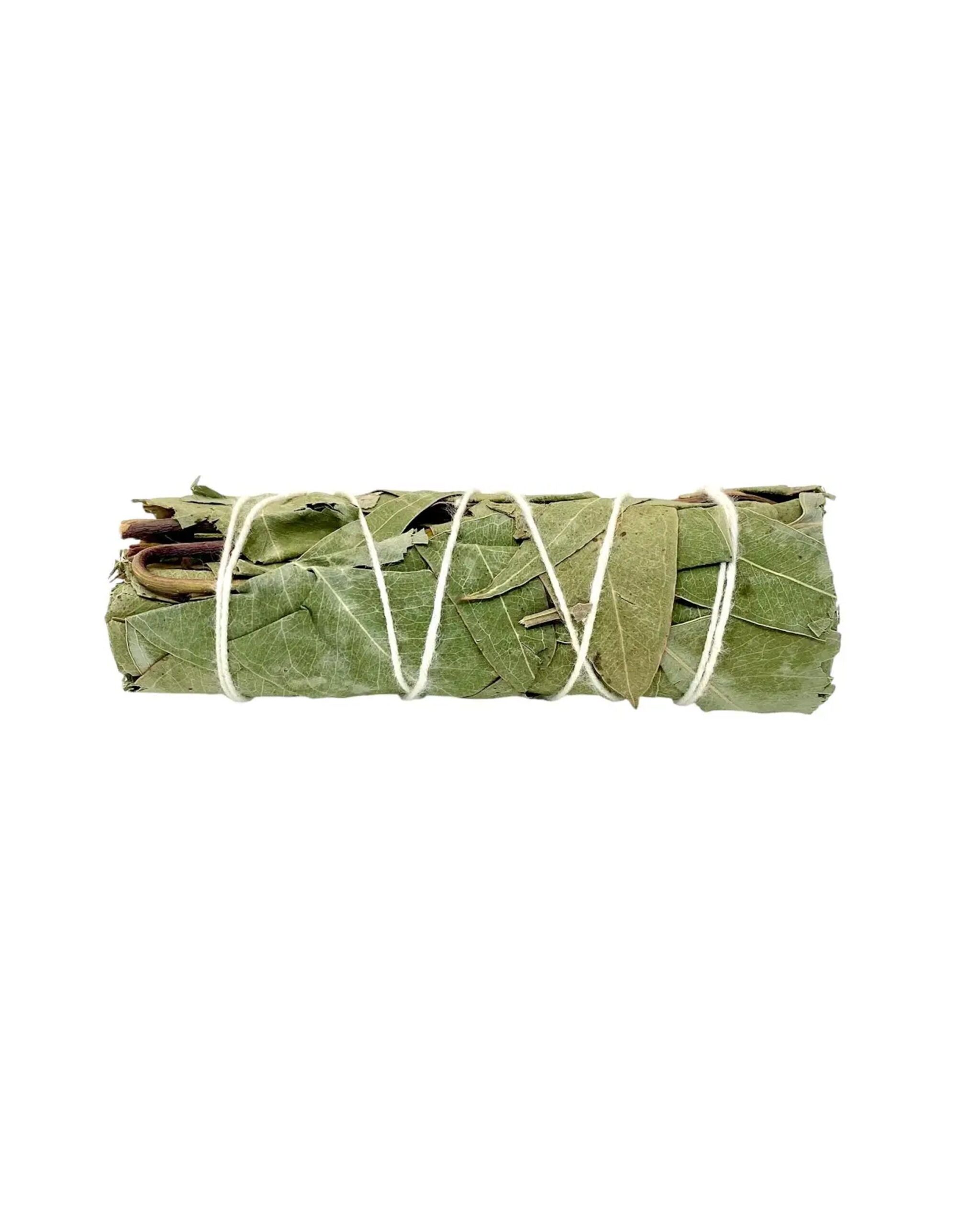 eucalyptus-stick