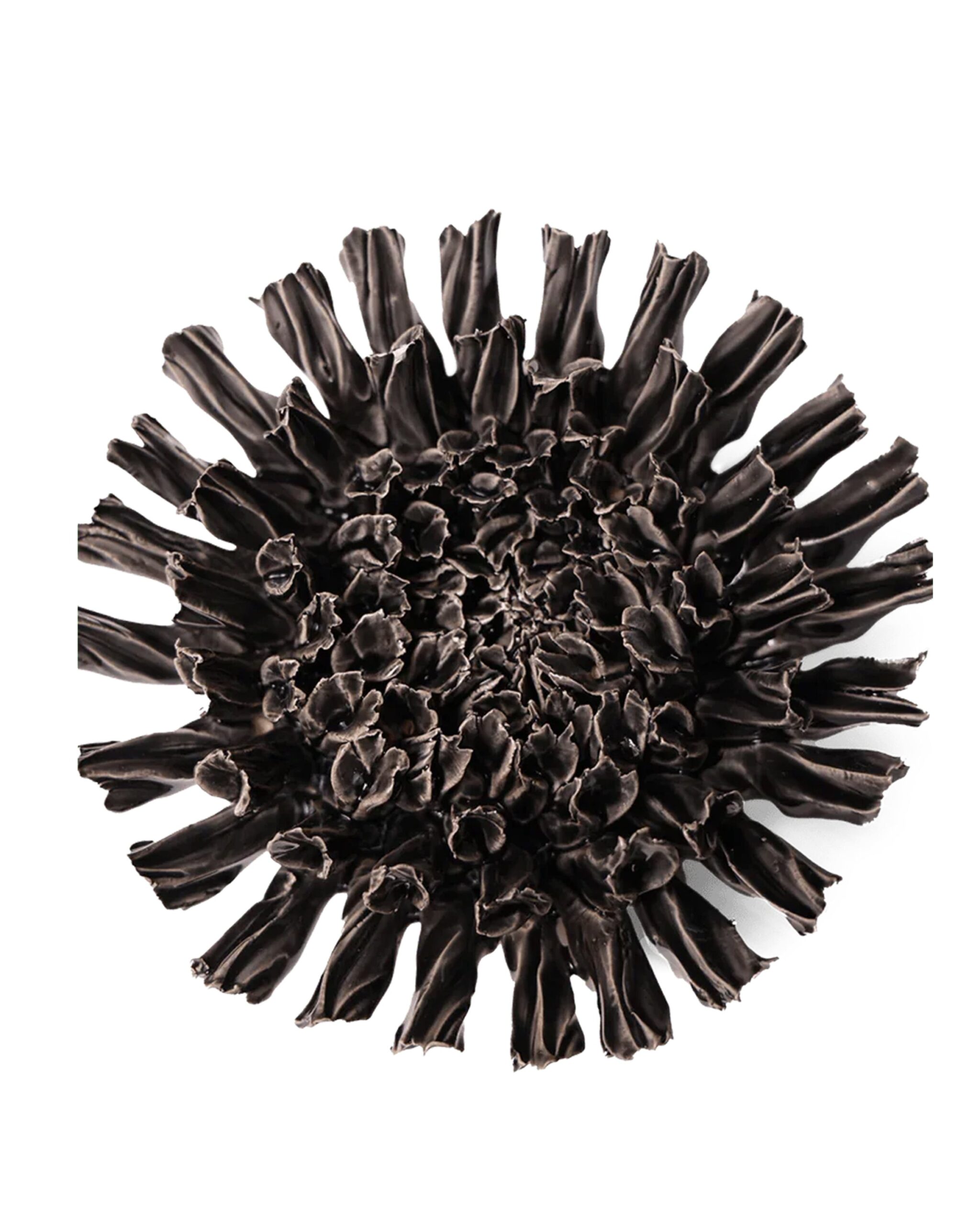 fractal_flower_blk