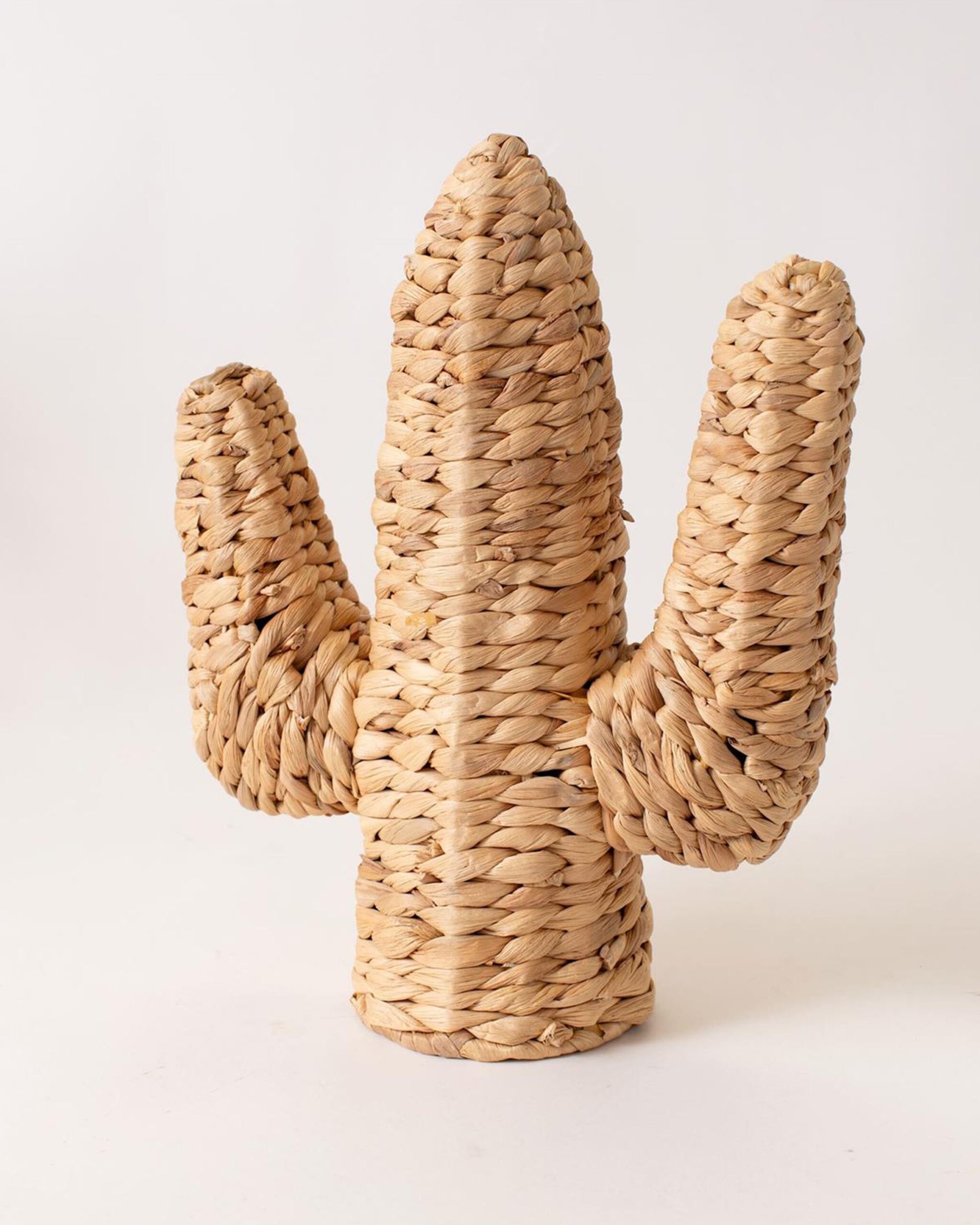 small-rattan-cactus